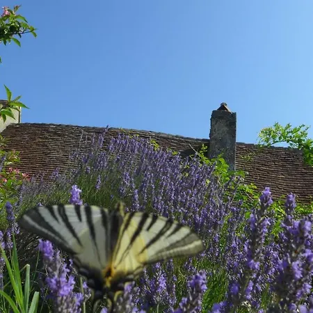Les Bernards Ferienhaus Campagne (Dordogne)